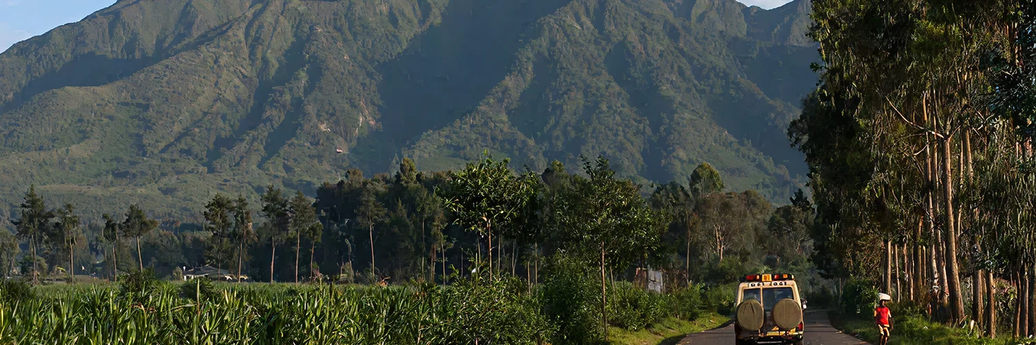 package hotel listing